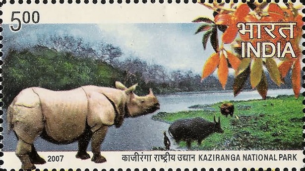 Framed Print of One horned rhinoceros in Kaziranga National Park