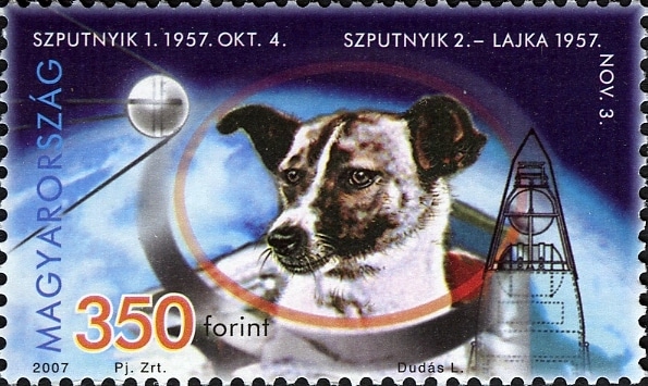 Laika The Dog And The First Animals In Space 